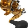 Avet SXJ G2 5.3 MC Single Speed Reel Gold -Shimano Store avet sxj g2 5 3 mc single speed reel ave 0519 1 37087.1670342429.386.513