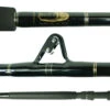 Blackfin Saltwater Strip Tip Fishing Rods -Shimano Store blackfin saltwater strip tip fishing rods 32867.1651075251