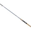 Daiwa Aird Coastal Inshore Spinning Rods