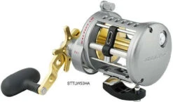 Daiwa Saltist Levelwind A Reels -Shimano Store daiwa saltist levelwind a reels 38721.1650807939