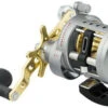 Daiwa Saltist Levelwind A Reels 1 Daiwa Saltist Levelwind A Reels -Shimano Store daiwa saltist levelwind a reels 55810.1650807938