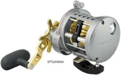 Daiwa Saltist Levelwind A Reels -Shimano Store daiwa saltist levelwind a reels 78666.1650807939