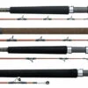 Daiwa V.I.P. A Saltwater Rods -Shimano Store daiwa vip a saltwater rods 06467.1651076951