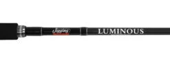 Jigging World Luminous Popping Rods -Shimano Store jigging world luminous popping rods 30297.1680784547