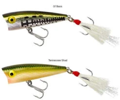 Rebel P50 Teeny Pop-R 2in -Shimano Store rebel p50 teeny pop r 2in 18331.1651013318