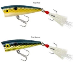 Rebel P50 Teeny Pop-R 2in -Shimano Store rebel p50 teeny pop r 2in 73864.1651013318