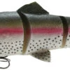Savage Gear 3D Line Thru Trout 2 Savage Gear 3D Line Thru Trout -Shimano Store savage gear 3d line thru trout lures 46551.1651163324