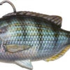 Savage Gear Pulse Tail Pinfish RTF Swimbaits -Shimano Store savage gear pulse tail pinfish rtf swimbaits 24311.1656656571.386.513