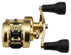 Shimano Calcutta Conquest MD Baitcasting Reels 11 Shimano Calcutta Conquest MD Baitcasting Reels -Shimano Store shimano calcutta conquest md baitcasting reels 25316.1674255441