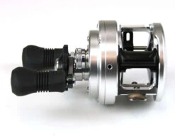Shimano CT301D L/H Calcutta Reel 7 Shimano CT301D L/H Calcutta Reel -Shimano Store shimano calcutta d ct301d 98642.1650937052