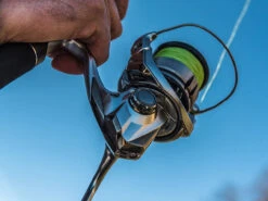 Shimano Stradic FL Spinning Reels -Shimano Store shimano stradic fl spinning reels 33628.1651246853