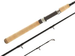 Shimano Teramar Inshore Southeast Casting And Spinning Rods -Shimano Store shimano teramar southeast fishing rods 71796.1651006809