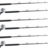 Shimano Talica TAC20BFC / TackleDirect Platinum Hook White Marlin Package W/ 6 Combos -Shimano Store tackledirect tdps662040sin shimano tac20bfc white marlin package 11366.1651325952.386.513
